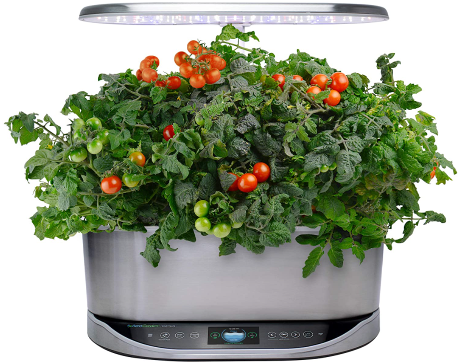 The Amazing Benefits Of Hydroponic Herb Garden