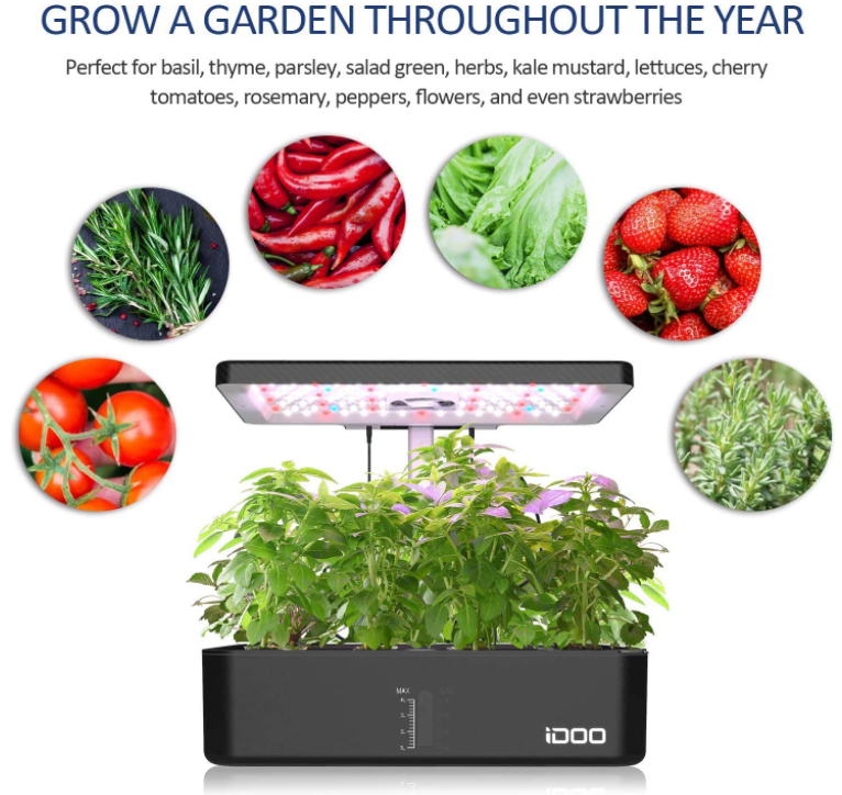 The Amazing Benefits Of Hydroponic Herb Garden